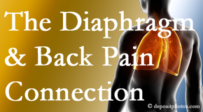 Pflugerville Wellness Center knows the relationship of the diaphragm to the body and spine and back pain. 