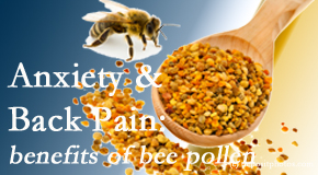 Pflugerville Wellness Center shares info on the benefits of bee pollen on cognitive function that may be impaired when dealing with back pain.