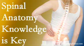 Pflugerville Wellness Center knows spinal anatomy well – a benefit to everyday chiropractic practice!