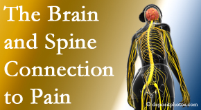 Pflugerville Wellness Center looks at the connection between the brain and spine in back pain patients to better help them find pain relief.