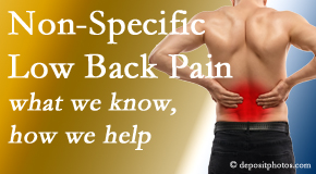 Pflugerville Wellness Center share the specific characteristics and treatment of non-specific low back pain. 