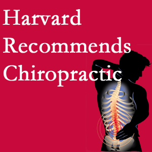 Pflugerville Wellness Center offers chiropractic care like Harvard recommends.
