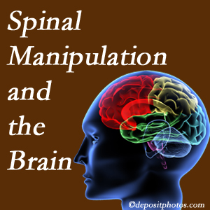 Pflugerville Wellness Center [shares research on the benefits of spinal manipulation for brain function. 