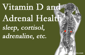 Pflugerville Wellness Center shares new research about the effect of vitamin D on adrenal health and function.